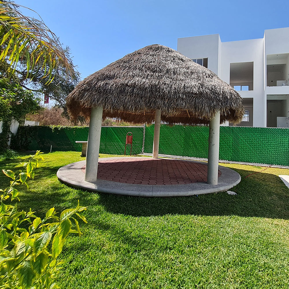 Palapa